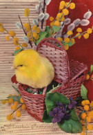 PASCUA POLLO HUEVO Vintage Tarjeta Postal CPSM #PBP031.ES - Easter