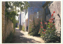 LA NOUE EN Ré  Venelle Fleurie RR 1275 - Ile De Ré