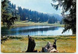 CHATEL Le Lac De Conche  RR 1271 - Châtel