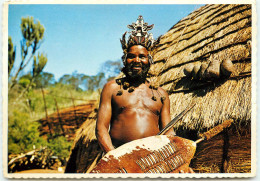 AFRIQUE DU SUD  ZULU WARRIOR CAPE TOWN  Transvaal RR 1264 - Afrique Du Sud