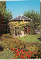 EVIAN LES BAINS Le Petit Jardin Japonais  RR 1297 - Evian-les-Bains