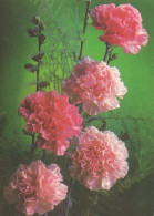 FLEURS Vintage Carte Postale CPSM #PAR779.FR - Flowers