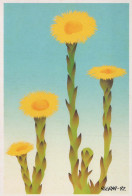 FLEURS Vintage Carte Postale CPSM #PAR479.FR - Flowers