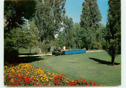 HYERES Le Petit Train Du Jardin OLBIUS RIQUIER  RR 1287 - Hyeres