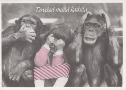 MONKEY Animals Vintage Postcard CPSM #PBS007.GB - Scimmie