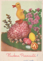 EASTER EGG Vintage Postcard CPSM #PBO207.GB - Pâques