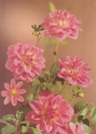 FIORI Vintage Cartolina CPSM #PBZ791.IT - Fleurs