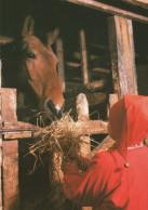 Buon Anno Natale BAMBINO CAVALLO Vintage Cartolina CPSM #PAU181.IT - New Year