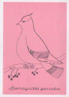 UCCELLO Animale Vintage Cartolina CPSM #PAN161.IT - Birds