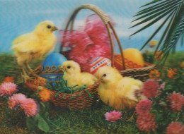 PASQUA POLLO UOVO FIORI LENTICULAR 3D Vintage Cartolina CPSM #PAZ010.IT - Easter