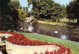 80 - Amiens - Parc Zoologique : Le Lac Aux Cygnes - Amiens