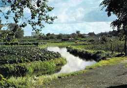 80 - Amiens - Les Hortillonnages - Amiens