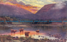 R075107 Middle Lake. Killarney Series II. Oilette. 7260. Tuck - World