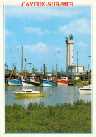 80 - Cayeux Sur Mer - Le Port Du Hourdel - Cayeux Sur Mer