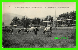 MANDELIEU-LA-NAPOULE (06) - LES TERMES -LES TRIBUNES ET LE CHAMP DE COURSE - TROUPEAU DE VACHES - - Grasse