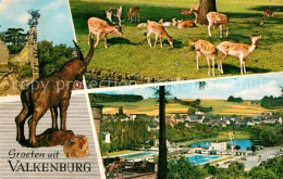 73011217 Valkenburg Suedholland Steinbock Rotwild Schwimmbad  - Andere & Zonder Classificatie
