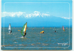 PORT LEUCATE  L'étang Et Le Canigou    SS 1327 - Leucate