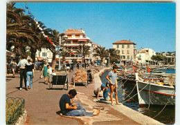 SANARY Un Ramandeur De Filet Sur Les Quais SS 1352 - Sanary-sur-Mer