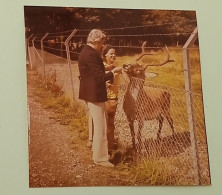 A Girl And A Man Near A Deer With Big Horns - Anonymous Persons