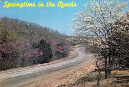 1 AK USA * Springtime In The Ozarks - Das Ozarks Plateau In Den Bundesstaaten Arkansas, Missouri, Oklahoma Und Kansas * - Other & Unclassified