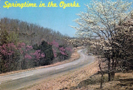 1 AK USA * Springtime In The Ozarks - Das Ozarks Plateau In Den Bundesstaaten Arkansas, Missouri, Oklahoma Und Kansas * - Autres & Non Classés