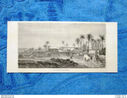 Gravure Année 1863 - Village De Tell-al-Kebir - Villaggio Di Tell-al-Kebir - Voor 1900