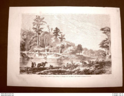 In Cile Nel 1863 Foresta Sulle Sponde Del Fiume Sedger Disegno Di E. De Berard - Antes 1900