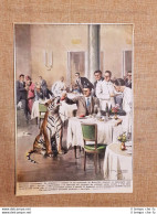 Retrocopertina La Domenica Del Corriere 1938 Bruxelles Domatore Tigre Ristorante - Sonstige & Ohne Zuordnung