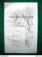 1882 - I Mesi Illustrati, Aprile E Maggio Di C. Ricci E Disegni Di A. Sezanne - Before 1900