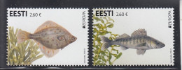 ESTONIA 2024- EUROPA-Underwater Fauna And Flora (09.05.24) - Estonie