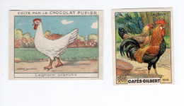 Chromo Poules LEGHORN Pub: Chocolat Pupier  68 X 51 Mm Et Cafés Gilbert  2 Scans - Other & Unclassified