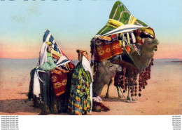 ALGERIE  SCENES ET TYPES  Scénes Et Types Du Sud  ..... ( Ref FA1384 ) - Scènes & Types