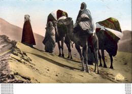 ALGERIE  SCENES ET TYPES  Dans Les Dunes  ..... ( Ref FA1402 ) - Scènes & Types