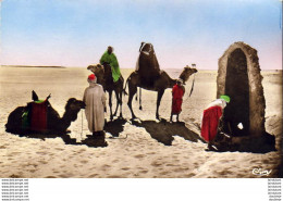 ALGERIE  SCENES ET TYPES  Un Puits Dans Les Sables  ..... ( Ref FA1427 ) - Scènes & Types