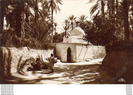 ALGERIE  SCENES ET TYPES  Marabout Dans L'Oasis  ..... ( Ref FA1775 ) - Scenes