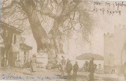 OCHRIDA - CARTE PHOTO - PLACE DU VILLAGE (LE GROS PLATANE) - Serbia