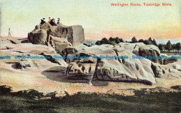 R075236 Wellington Rocks. Tunbridge Wells. Postcard - World