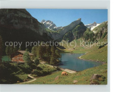 11497129 Appenzell IR Berggasthaus Seealpsee Mit Altmann Rossmahd Saentis Kuh Ap - Otros & Sin Clasificación