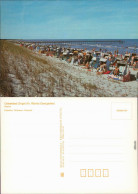 Zingst-Darss Strand Mit Strandkörben Und Vielen Badegästen 1987 - Zingst