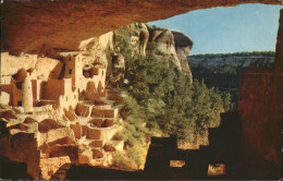 11491719 Mesa Verde National Park Cliff Palace Mesa Verde National Park - Sonstige & Ohne Zuordnung