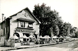 33* ARCACHONLES ABATILLES Hotel Des Ecureuils   CPSM(9x14cm)    RL02,1120 - Arcachon