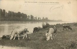 40* LANDES  Pacage Au Bord De L Adour     RL03,0383 - Autres & Non Classés