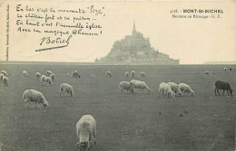 50* MONT ST MICHEL  Moutons  RL03,1239 - Le Mont Saint Michel