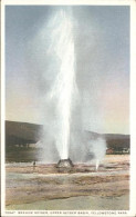 11491560 Yellowstone_National_Park Beehive Geyser Upper Geyser Basin - Other & Unclassified