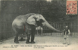 75* PARIS  7e   Jardin Des Plantes  Elephant  1906   RL04 .0952 - Paris (07)