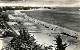 56* CARNAC PLAGE  Grande Plage  CPSM(9x14cm)        RL05.0414 - Carnac