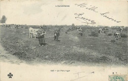 63* AUVERGNE  Un Paturage      RL05.1295 - Allevamenti