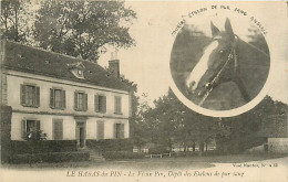 61* LE HARAS DU PIN Vieux Pin  Depot Etalons Pur Sang      RL05.0981 - Other & Unclassified