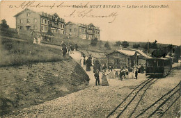 73* MONT REVARD Gare Et Chalets Hotels          RL06.1305 - Autres & Non Classés