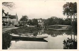 77* SAMOIS SUR SEINE Quai  Nouveau Pont    (CPSM 9x14cm)   RL07.0815 - Samois